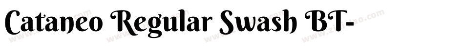 Cataneo Regular Swash BT字体转换